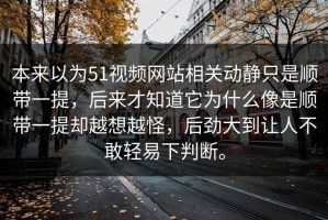 本来以为51视频网站相关动静只是顺带一提，后来才知道它为什么像是顺带一提却越想越怪，后劲大到让人不敢轻易下判断。