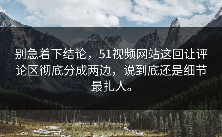 别急着下结论，51视频网站这回让评论区彻底分成两边，说到底还是细节最扎人。