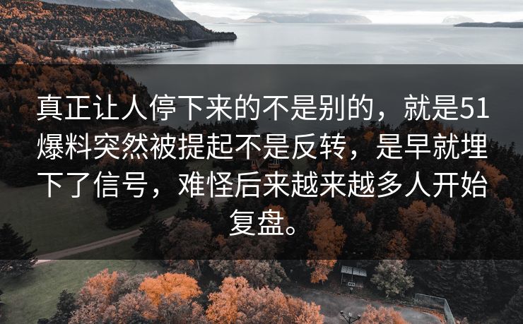真正让人停下来的不是别的，就是51爆料突然被提起不是反转，是早就埋下了信号，难怪后来越来越多人开始复盘。