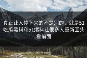 真正让人停下来的不是别的，就是51吃瓜黑料和51爆料让很多人重新回头看前面