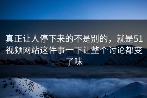 真正让人停下来的不是别的，就是51视频网站这件事一下让整个讨论都变了味