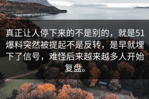 真正让人停下来的不是别的，就是51爆料突然被提起不是反转，是早就埋下了信号，难怪后来越来越多人开始复盘。