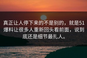 真正让人停下来的不是别的，就是51爆料让很多人重新回头看前面，说到底还是细节最扎人。