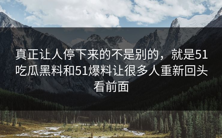 真正让人停下来的不是别的，就是51吃瓜黑料和51爆料让很多人重新回头看前面